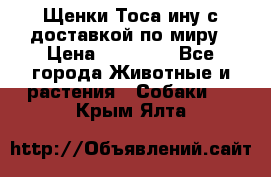 Щенки Тоса-ину с доставкой по миру › Цена ­ 68 000 - Все города Животные и растения » Собаки   . Крым,Ялта